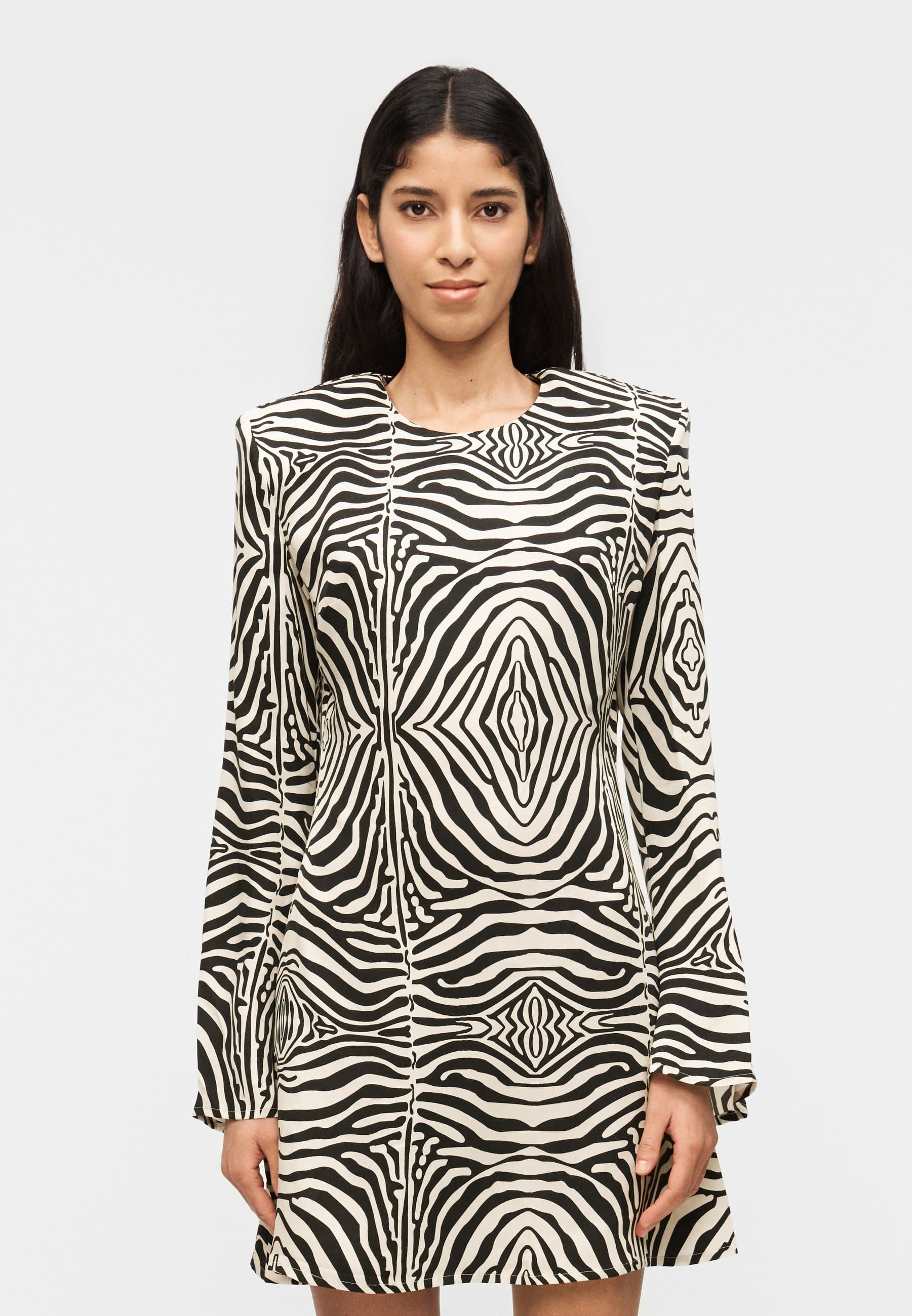PALOMA MINI DRESS ZEBRA
